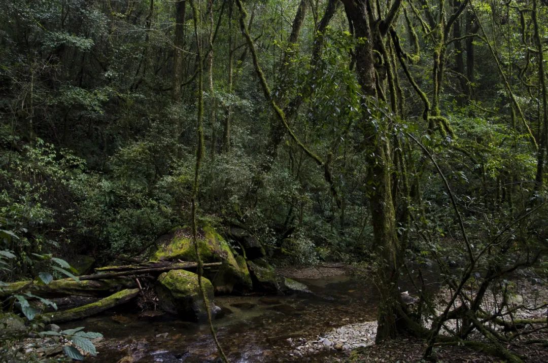 �ߣ�ȥ�͡����ϼ����Ķ��ｻ�����ѣ�