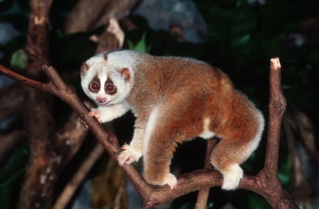 �ߣ�ȥ�͡����ϼ����Ķ��ｻ�����ѣ�