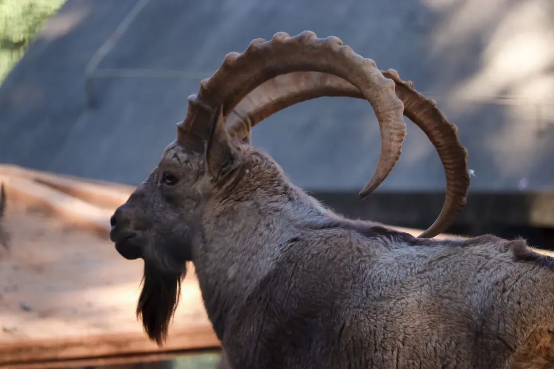 �ߣ�ȥ�͡����ϼ����Ķ��ｻ�����ѣ�