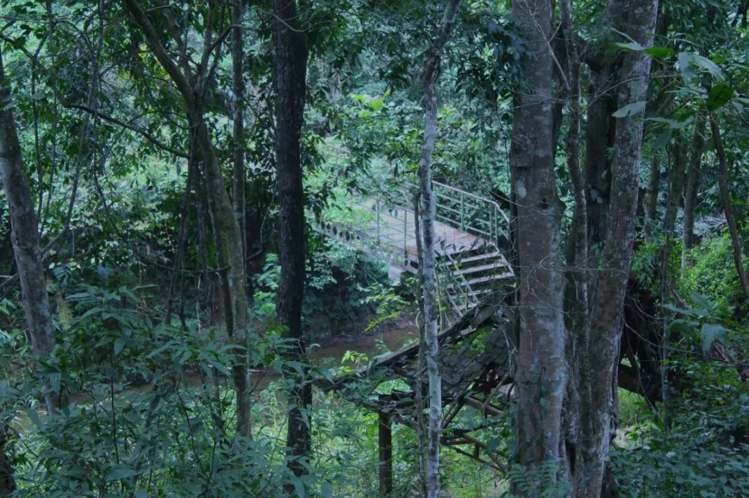 �ߣ�ȥ�͡����ϼ����Ķ��ｻ�����ѣ�