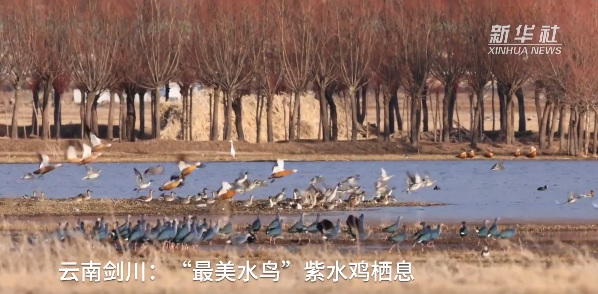 �ߣ�ȥ�͡����ϼ����Ķ��ｻ�����ѣ�