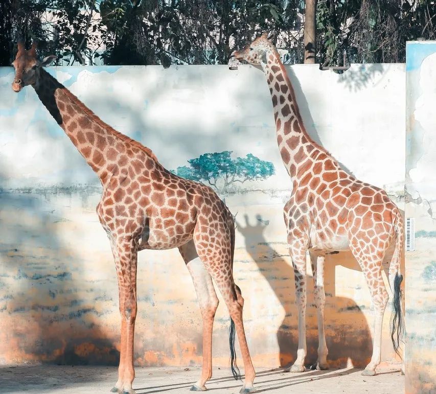 �ߣ�ȥ�͡����ϼ����Ķ��ｻ�����ѣ�