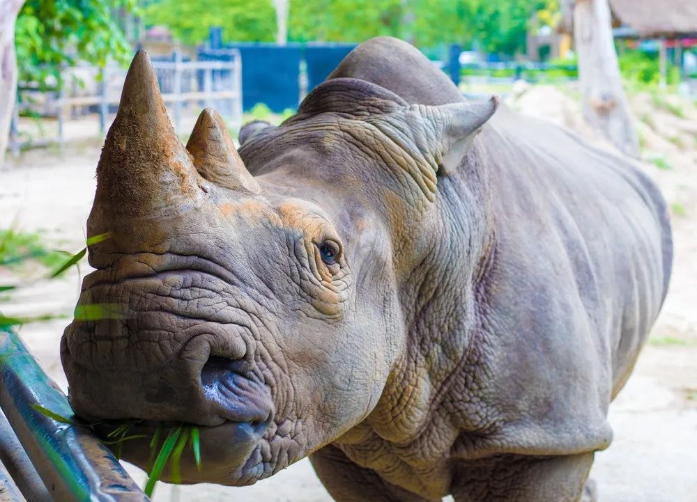 �ߣ�ȥ�͡����ϼ����Ķ��ｻ�����ѣ�