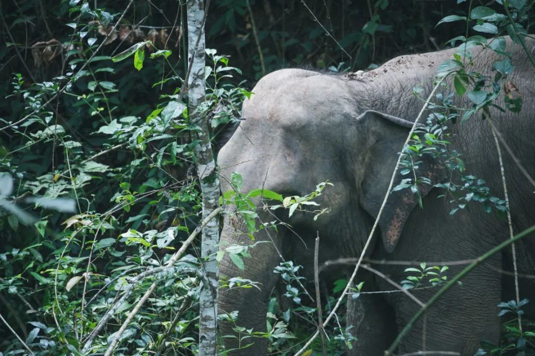 �ߣ�ȥ�͡����ϼ����Ķ��ｻ�����ѣ�