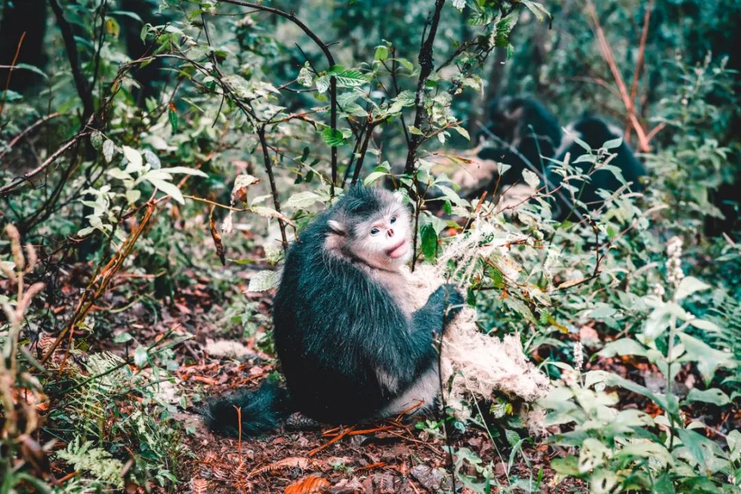 �ߣ�ȥ�͡����ϼ����Ķ��ｻ�����ѣ�