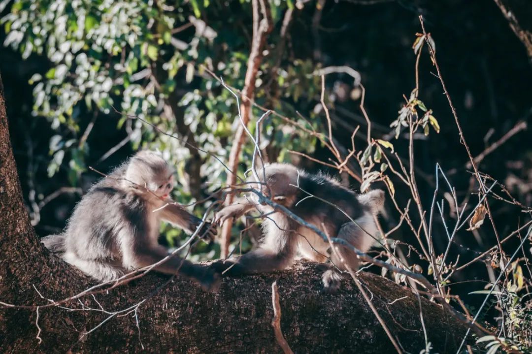 �ߣ�ȥ�͡����ϼ����Ķ��ｻ�����ѣ�