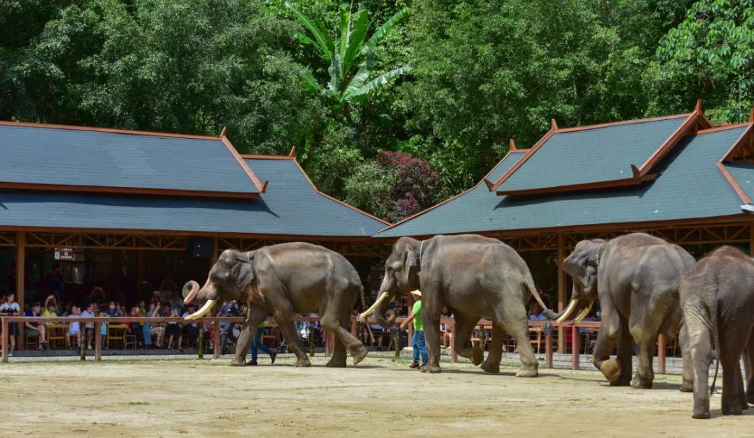 �ߣ�ȥ�͡����ϼ����Ķ��ｻ�����ѣ�