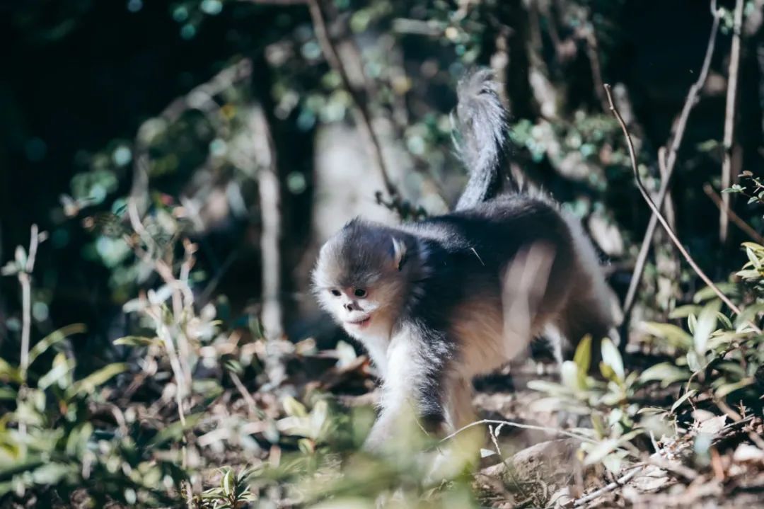 �ߣ�ȥ�͡����ϼ����Ķ��ｻ�����ѣ�