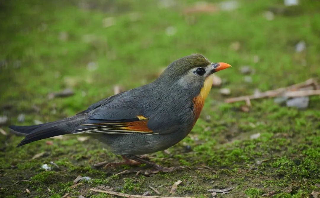 �ߣ�ȥ�͡����ϼ����Ķ��ｻ�����ѣ�