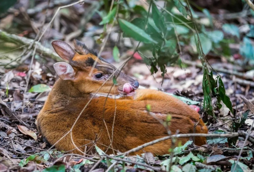 �ߣ�ȥ�͡����ϼ����Ķ��ｻ�����ѣ�