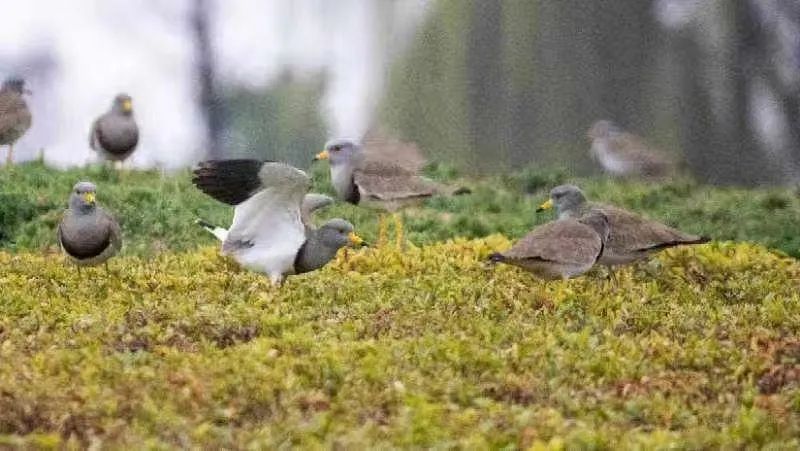 �ߣ�ȥ�͡����ϼ����Ķ��ｻ�����ѣ�