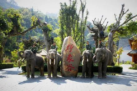 ��������ȥ��50���ط�