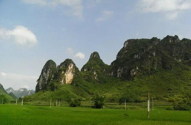 ��������ȥ��50���ط�