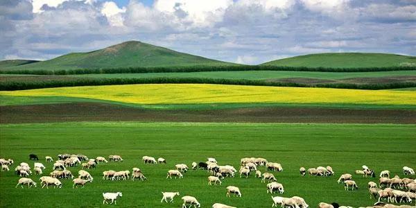 ��������ȥ��50���ط�