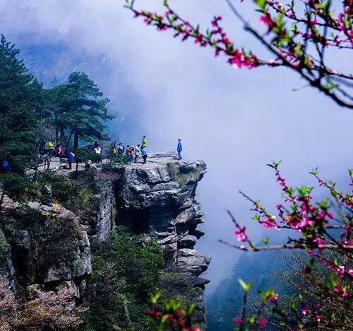 ��������ȥ��50���ط�