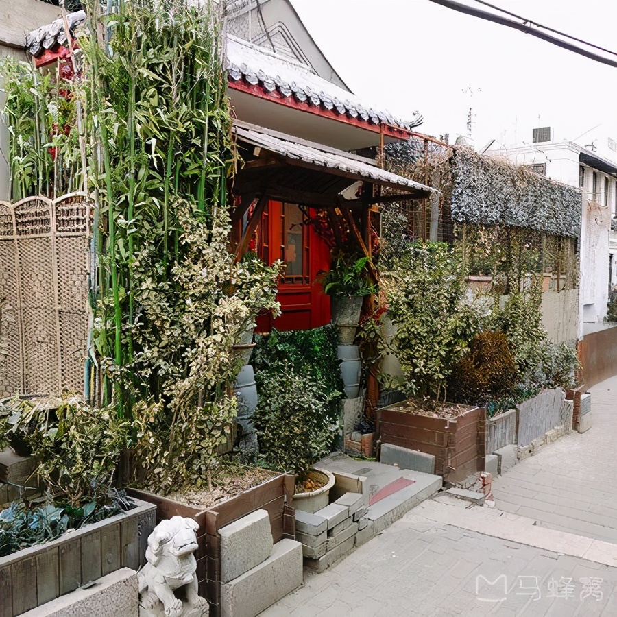 �������αع��6����ͬ���������ڡ���ζ����