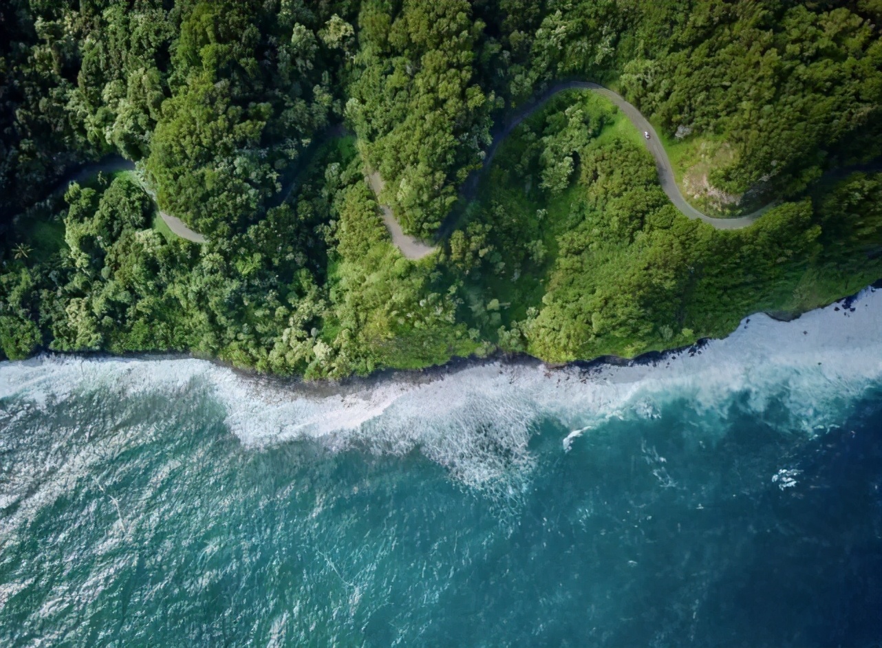 ��Щ�ǡ����羡ͷ�����¼�Ҳ����