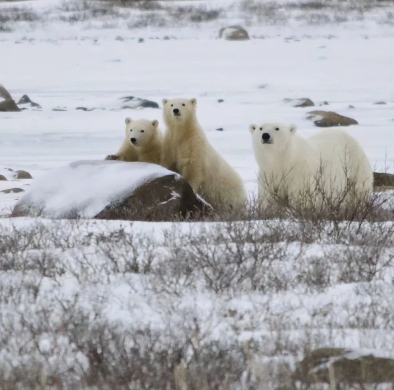 ��Щ�ǡ����羡ͷ�����¼�Ҳ����