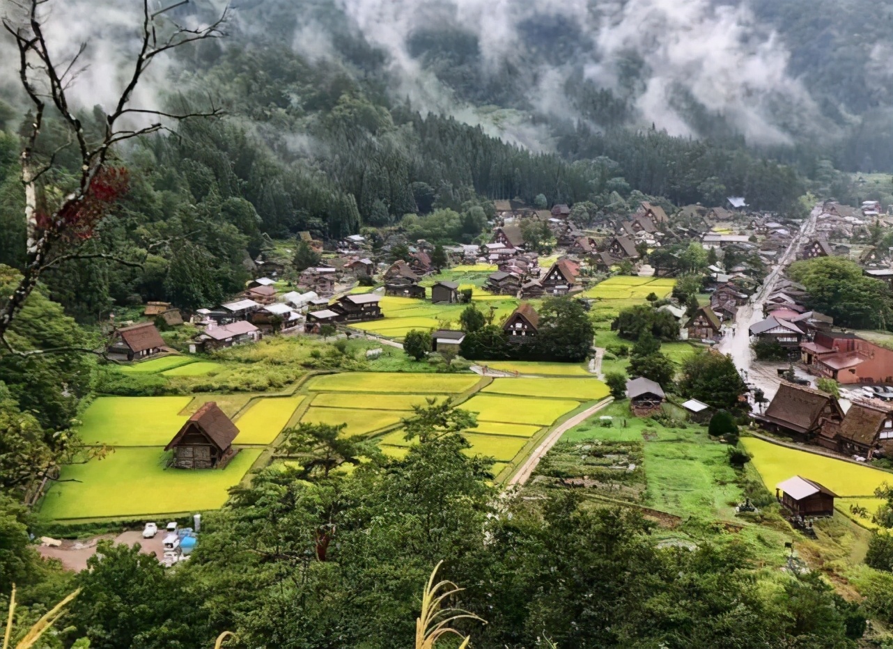 ��Щ�ǡ����羡ͷ�����¼�Ҳ����