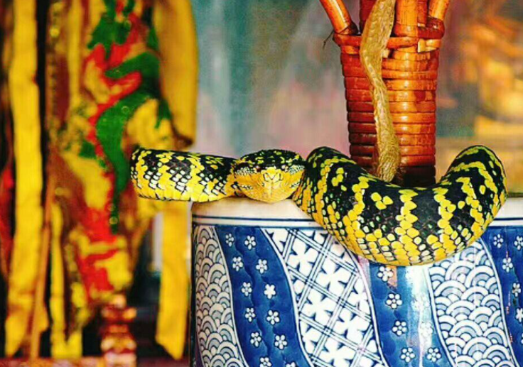 ����Ψһ�ġ����������������߷��ģ��οͣ�����һ�㶼������