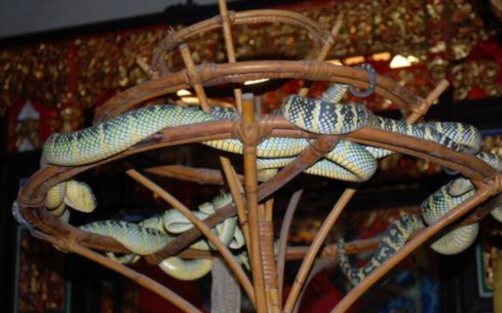 ����Ψһ�ġ����������������߷��ģ��οͣ�����һ�㶼������