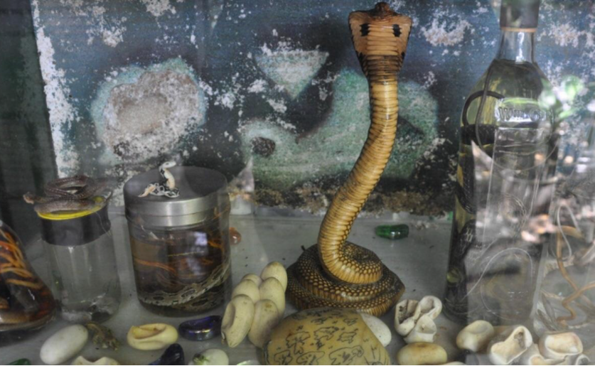 ����Ψһ�ġ����������������߷��ģ��οͣ�����һ�㶼������