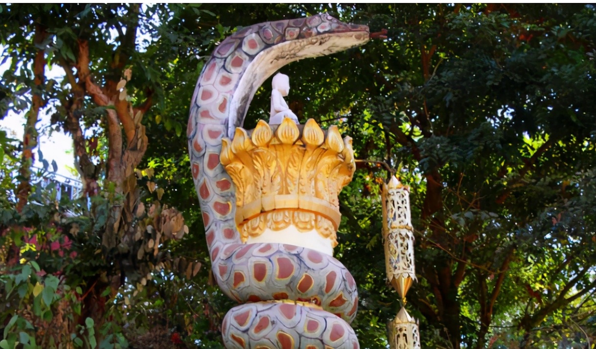 ����Ψһ�ġ����������������߷��ģ��οͣ�����һ�㶼������