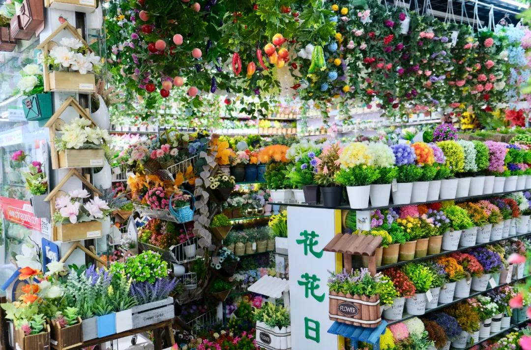 ���ڲ�һ�����㷢�ƣ���һ��������úù�