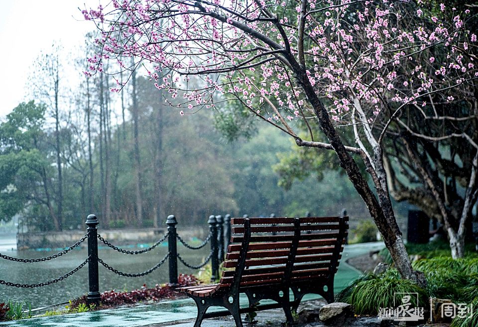 ����³Ѹ��԰��һ����ζʮ��ˮī�� | ����ͷ