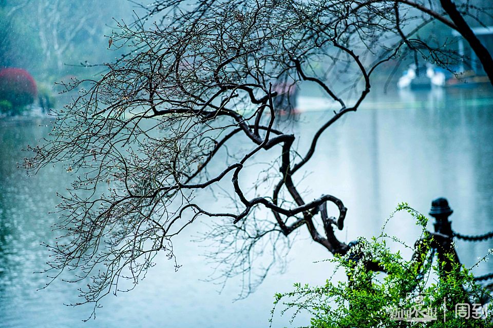 ����³Ѹ��԰��һ����ζʮ��ˮī�� | ����ͷ