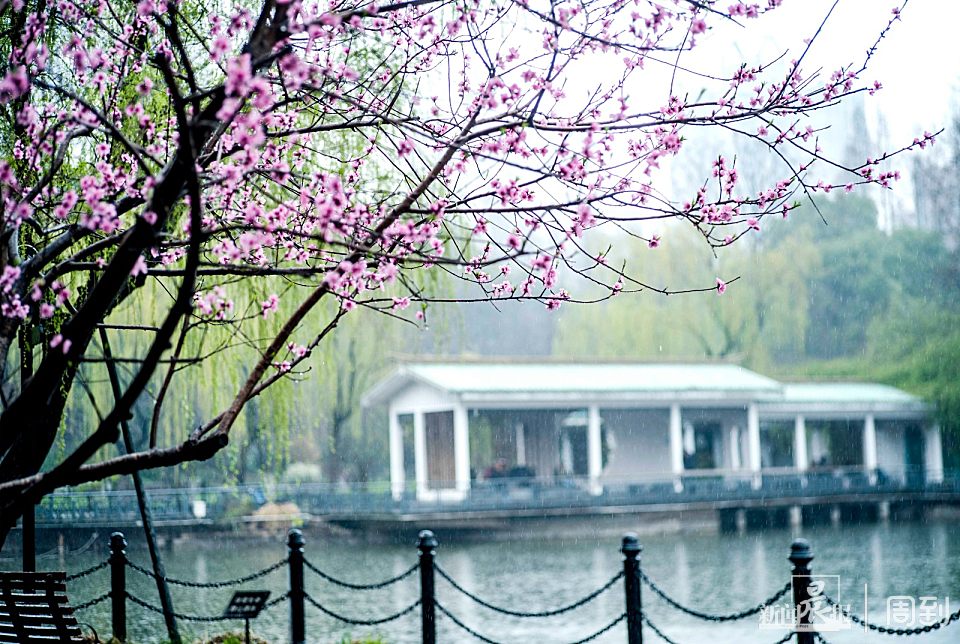 ����³Ѹ��԰��һ����ζʮ��ˮī�� | ����ͷ