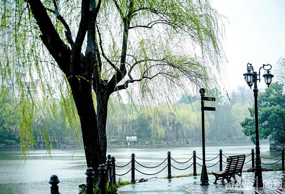 ����³Ѹ��԰��һ����ζʮ��ˮī�� | ����ͷ