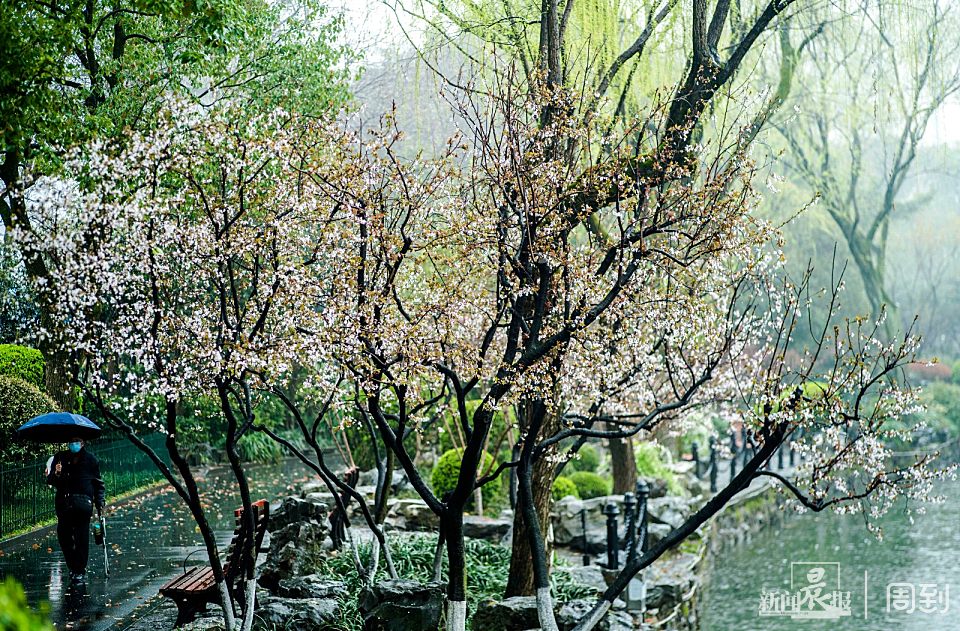 ����³Ѹ��԰��һ����ζʮ��ˮī�� | ����ͷ