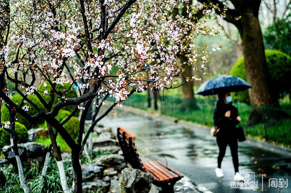 ����³Ѹ��԰��һ����ζʮ��ˮī�� | ����ͷ