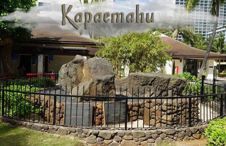 ʳ¯2021˹Ѷ̶̫ʺ㺢һ