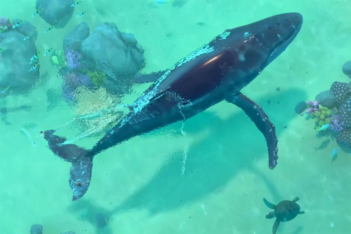 ʳ¯2021˹Ѷ̶̫ʺ㺢һ