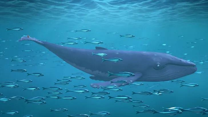 ʳ¯2021˹Ѷ̶̫ʺ㺢һ