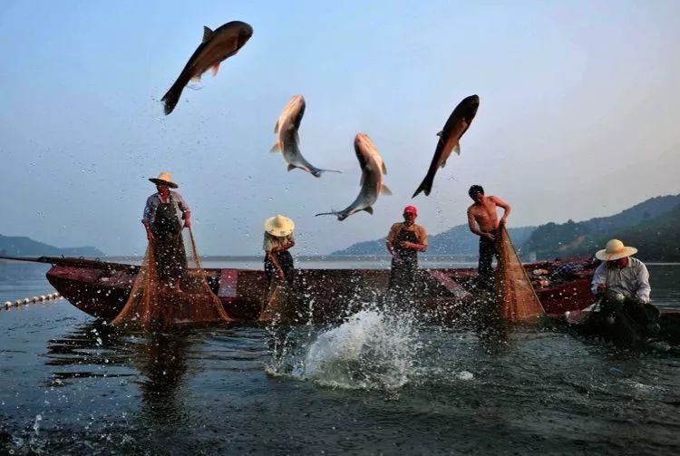 �㽭��������7�������Щ�羰�㶼ȥ��������