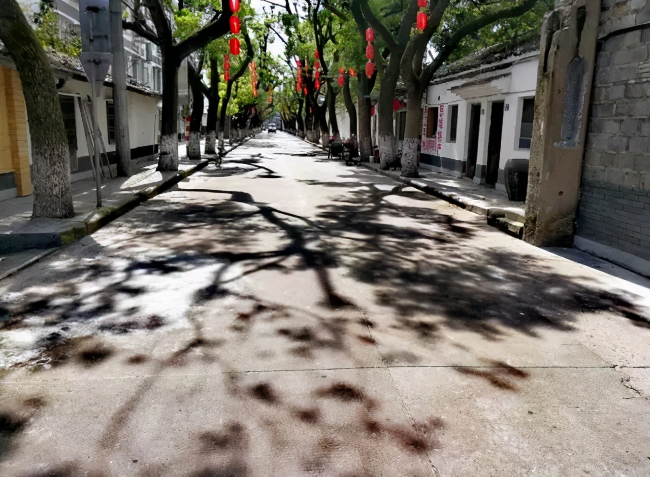 �㽭��������7�������Щ�羰�㶼ȥ��������