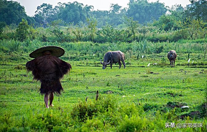 ţ����ʲô��ǭ�������������͵���Ʒ��ʳ���������еġ�ţ������