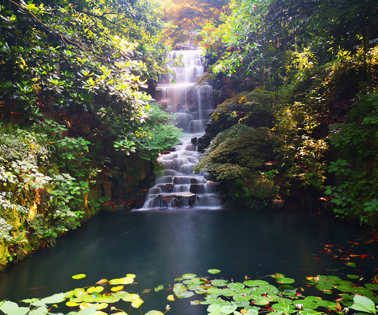 �����£����ʮ���ɲ֮һ��Ѱ�ټù����㼣