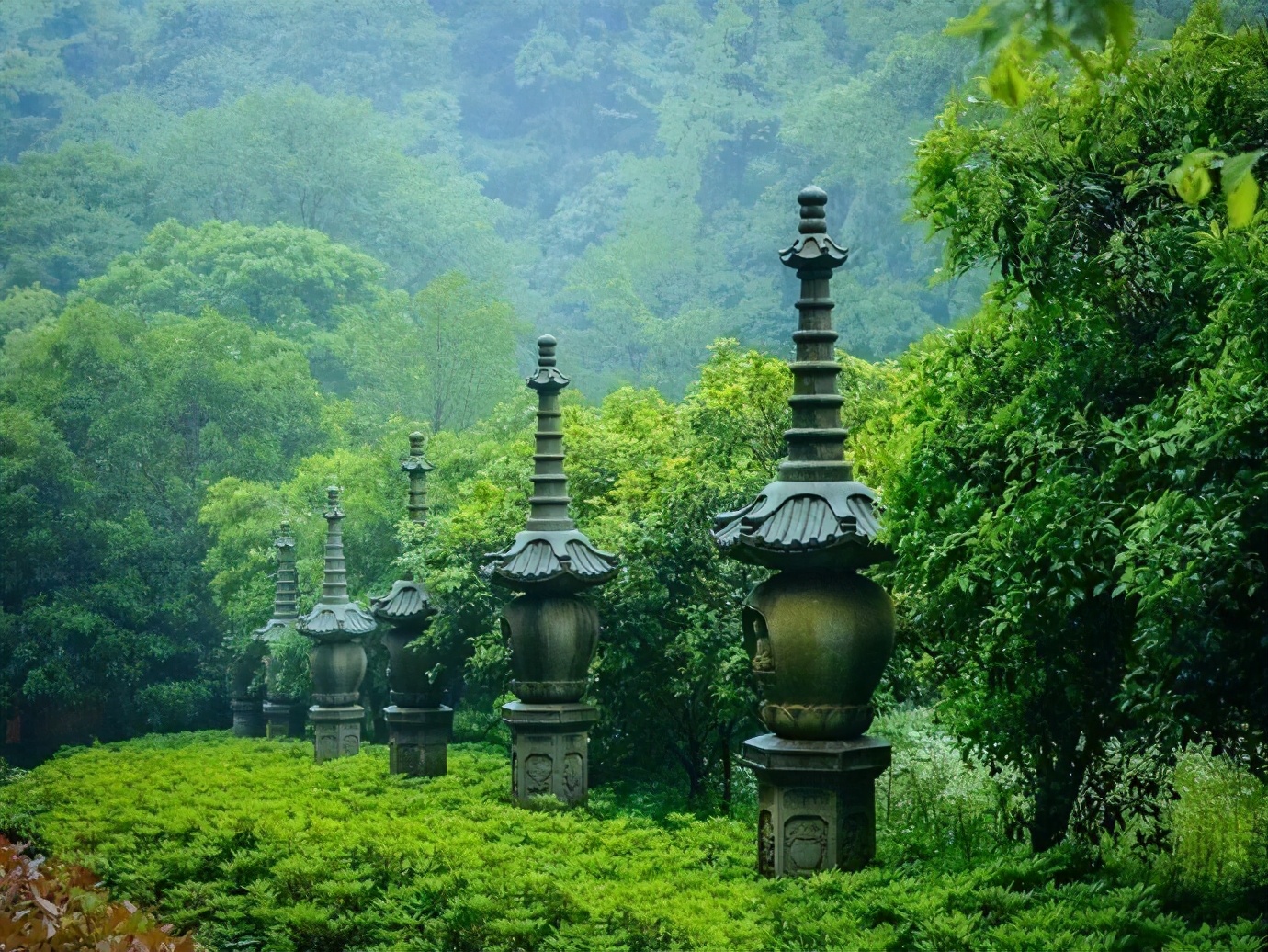 �����£����ʮ���ɲ֮һ��Ѱ�ټù����㼣