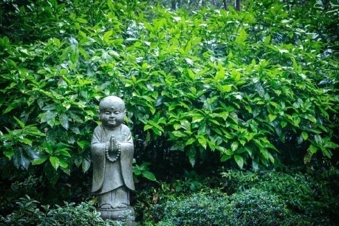 �����£����ʮ���ɲ֮һ��Ѱ�ټù����㼣