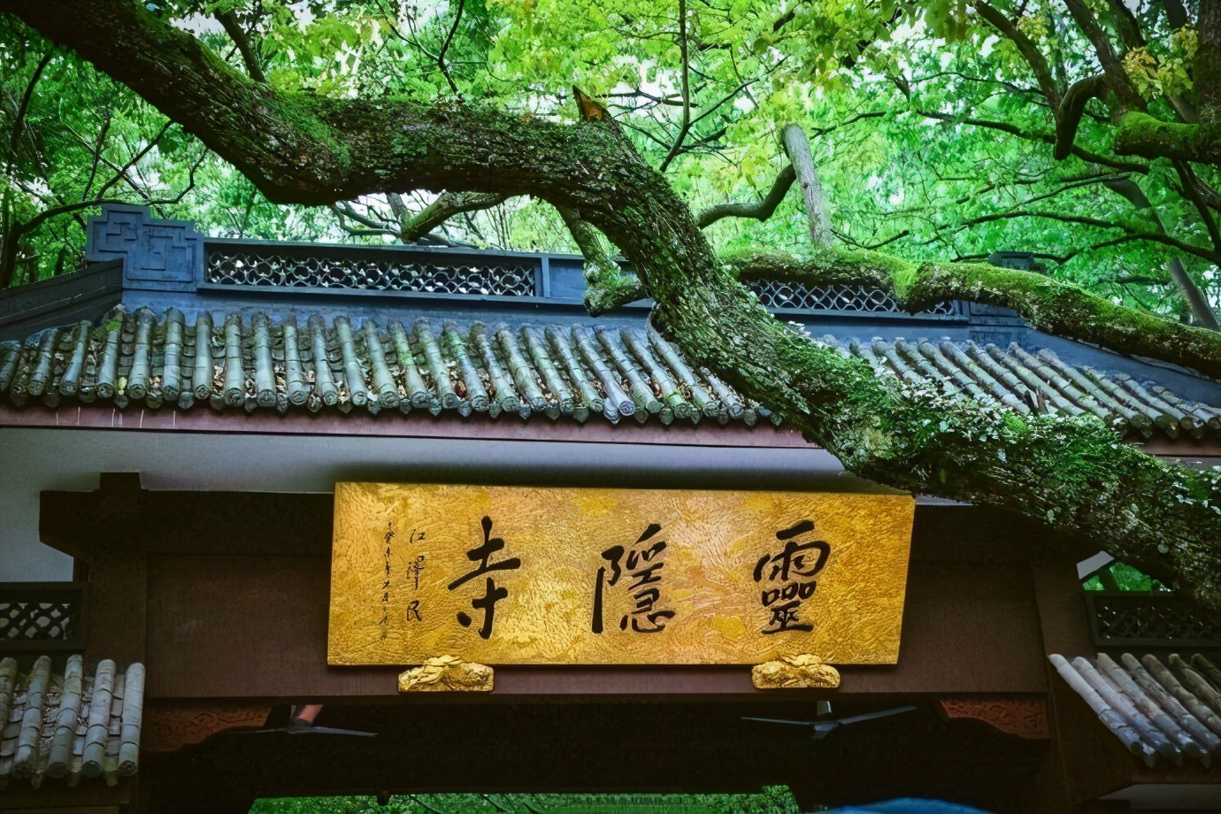 �����£����ʮ���ɲ֮һ��Ѱ�ټù����㼣