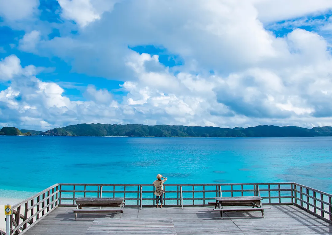 �ձ��Ĺ��ҹ�԰����������������