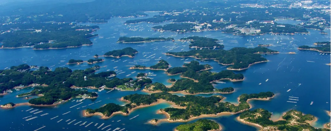 �ձ��Ĺ��ҹ�԰����������������