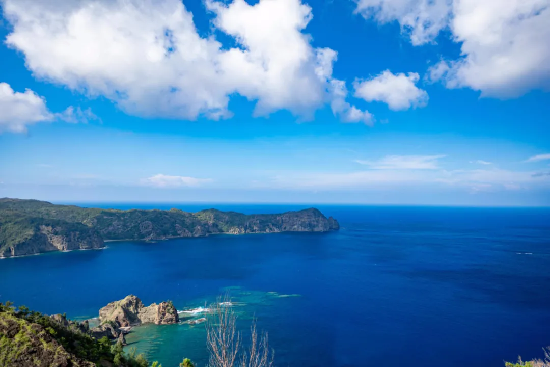 �ձ��Ĺ��ҹ�԰����������������