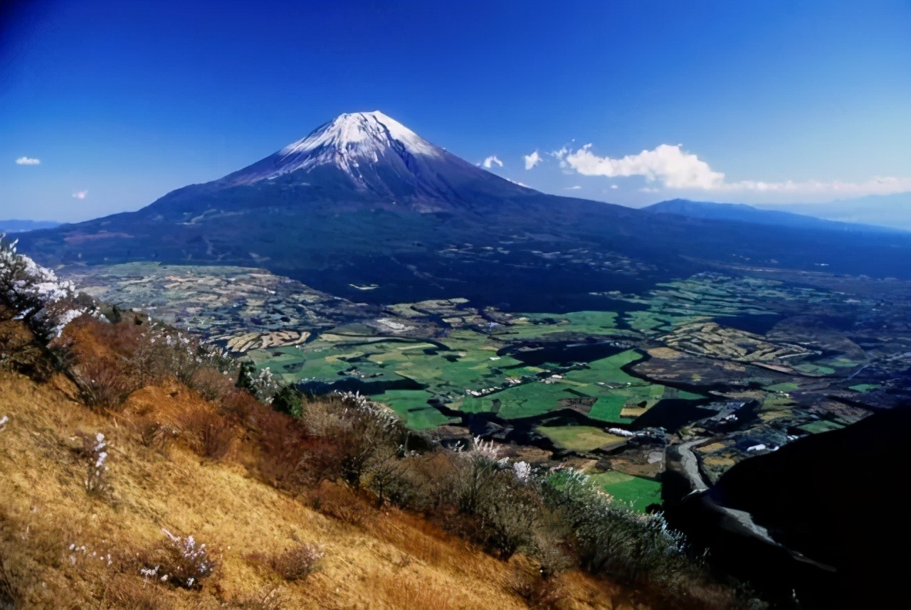 �ձ��Ĺ��ҹ�԰����������������