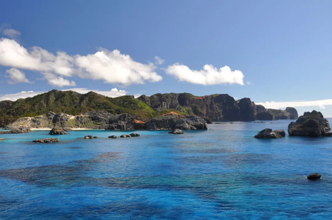 �ձ��Ĺ��ҹ�԰����������������