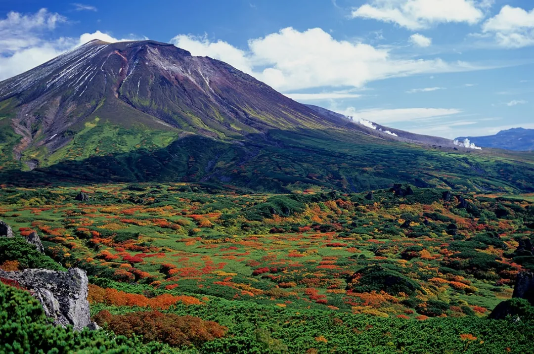 �ձ��Ĺ��ҹ�԰����������������